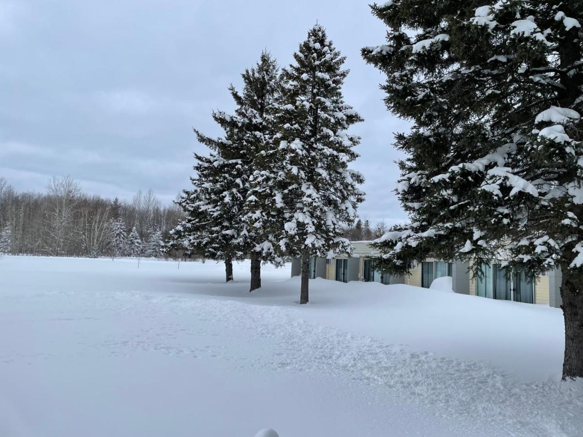 Ambassador Motel Sault-Sainte-Marie Extérieur photo